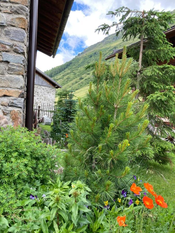 Dreihaeuser Obergurgl Exteriör bild